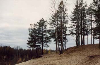 landscape1