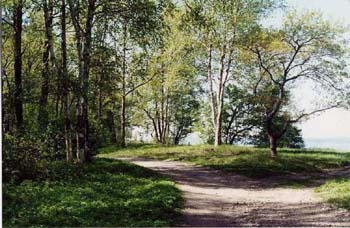 landscape10
