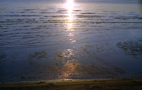 landscape17