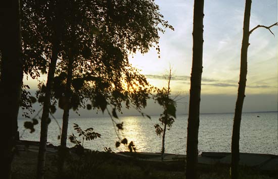 landscape18