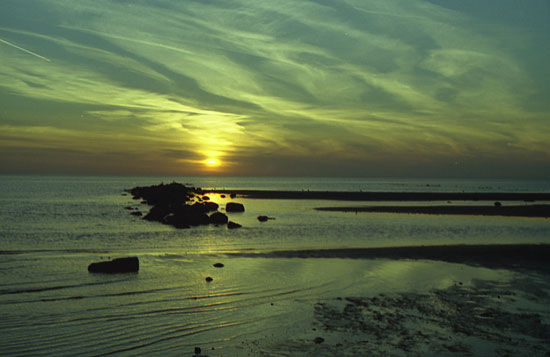 landscape21