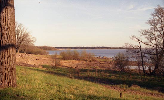 landscape27