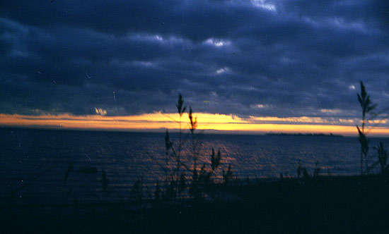 landscape29