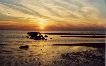 landscape4