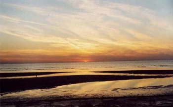 landscape5