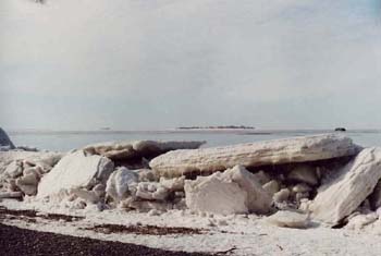 landscape6
