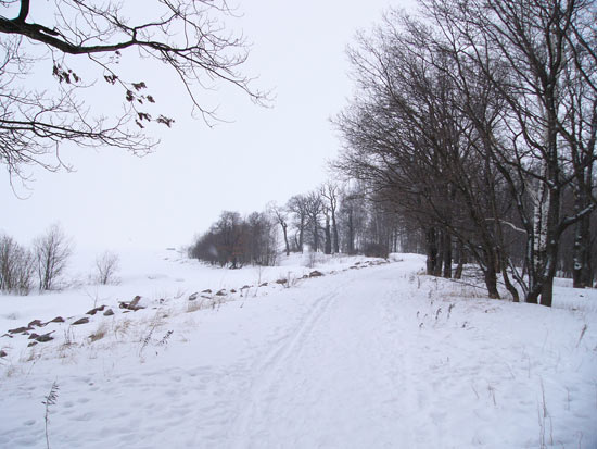 парк