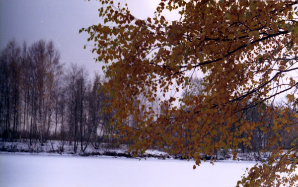 парк