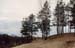 landscape1