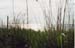 landscape12