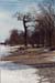 landscape13