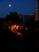 сестрорецк