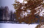 park2