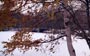 park7